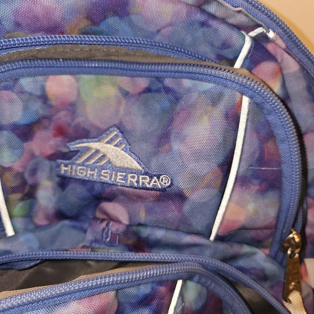 High Sierra‎ Multicolor Backpack with Abstract Design